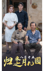 归来之八月十五月儿圆 - 现代都市 (2024) 海报