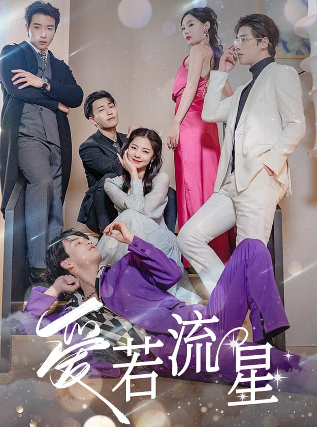 爱若流星 - 女频恋爱 (2024) 海报