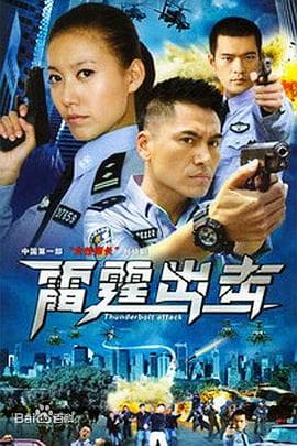 要案组雷霆出击 - 国产剧 (2008) 海报