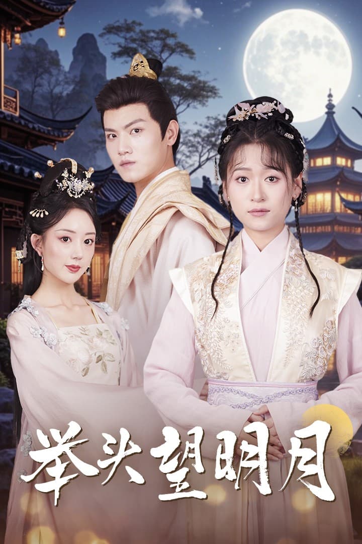 举头望明月 - 古装仙侠 (2024) 海报