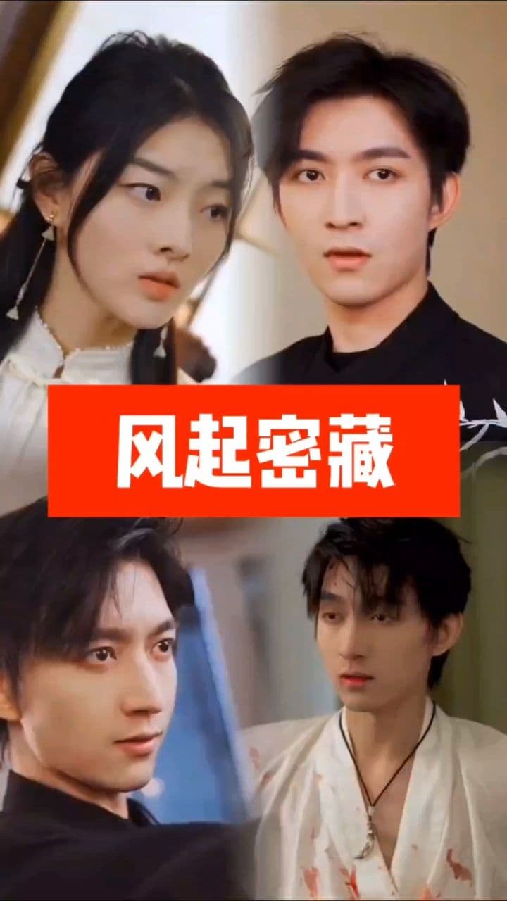 风起密藏 - 反转爽剧 (2024) 海报