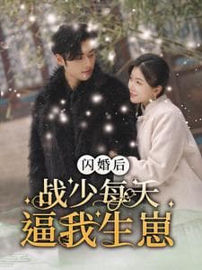 闪婚后战少每天逼我生崽 - 女频恋爱 (2024) 海报