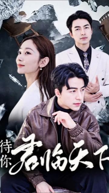 待你君临天下 - 反转爽剧 (2024) 海报