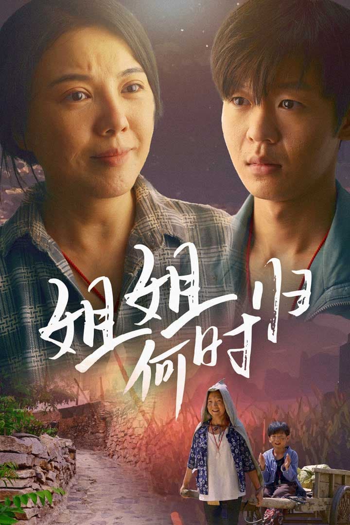 姐姐何时归 - 现代都市 (2024) 海报