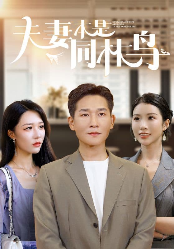 夫妻本是同林鸟 - 反转爽剧 (2024) 海报
