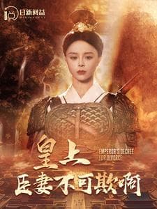 皇上臣妻不可欺啊 - 古装仙侠 (2024) 海报