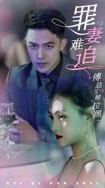 罪妻难追傅总又被拉黑了 - 女频恋爱 (2024) 海报