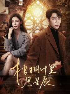 梧桐叶里思星辰 - 女频恋爱 (2024) 海报