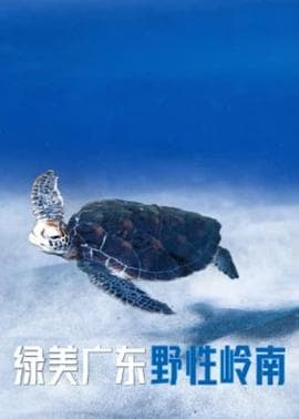 绿美广东·野性岭南 - 纪录片 (2023) 海报