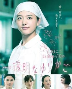 透明的摇篮 - 日剧 (2018) 海报