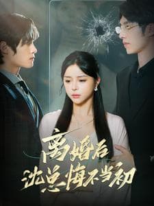 离婚后沈总悔不当初 - 女频恋爱 (2024) 海报