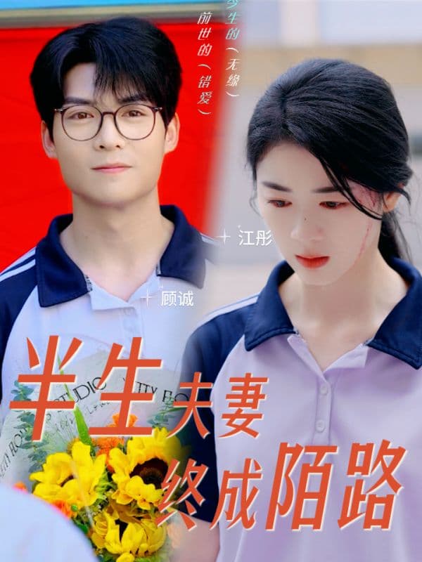 半生夫妻终成陌路 - 现代都市 (2024) 海报