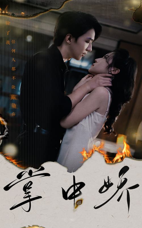 掌中娇 - 女频恋爱 (2024) 海报