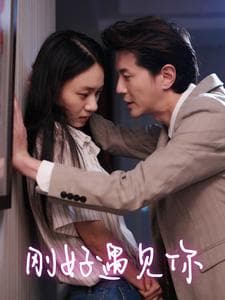 刚好遇见你 - 现代都市 (2024) 海报