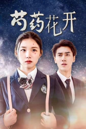 芍药花开火光中的芍药花 - 现代都市 (2024) 海报