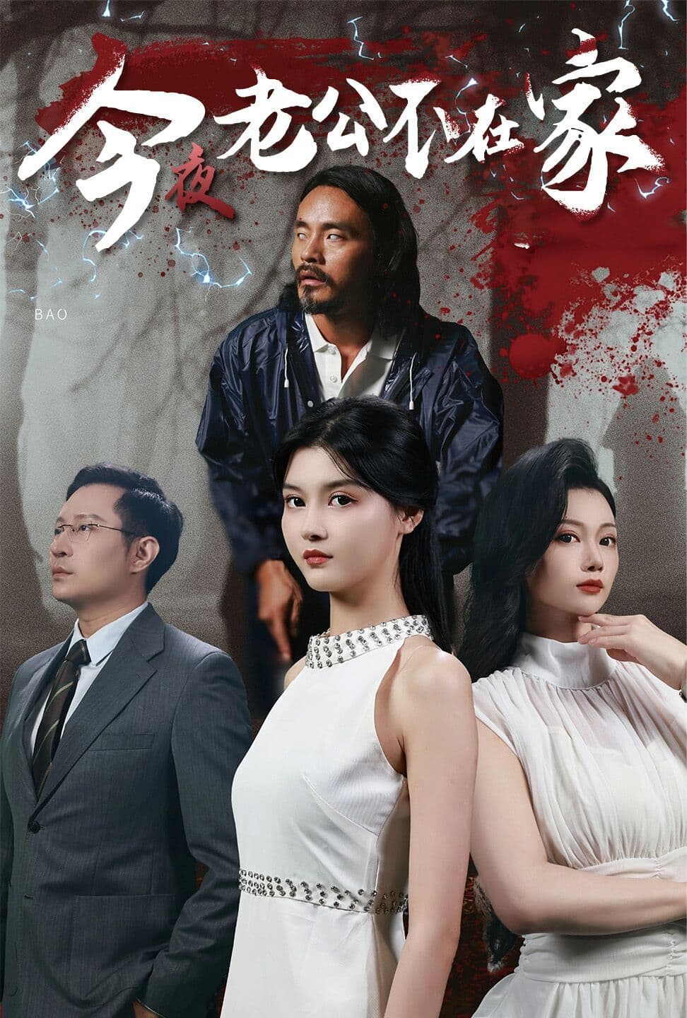 今夜老公不在家 - 现代都市 (2024) 海报