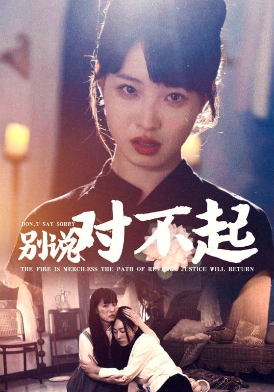 别说对不起 - 现代都市 (2024) 海报