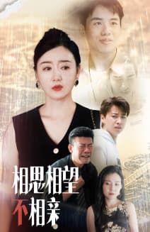 相思相望不相亲 - 现代都市 (2024) 海报
