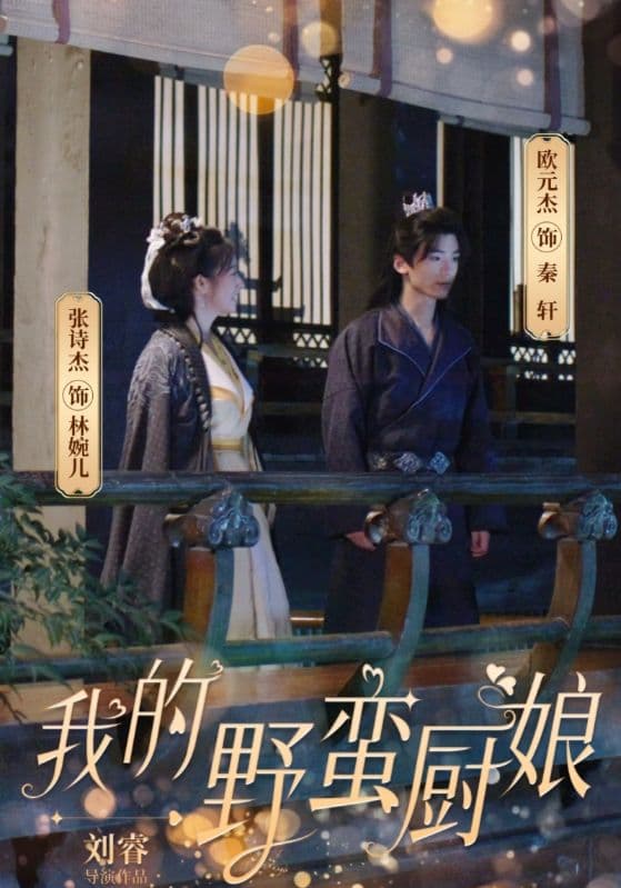 我的野蛮厨娘 - 年代穿越 (2024) 海报