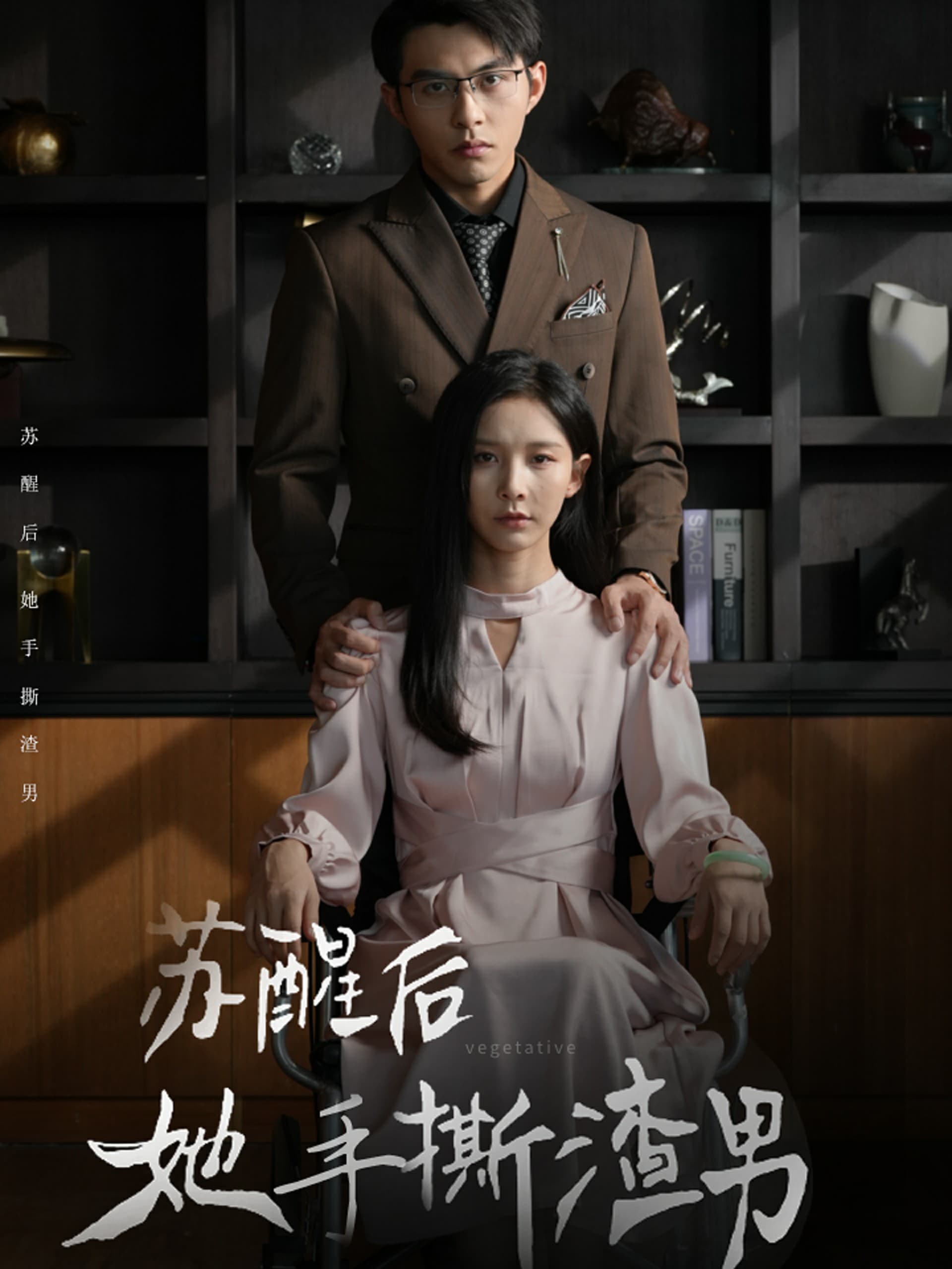 苏醒后她手撕渣男 - 现代都市 (2024) 海报