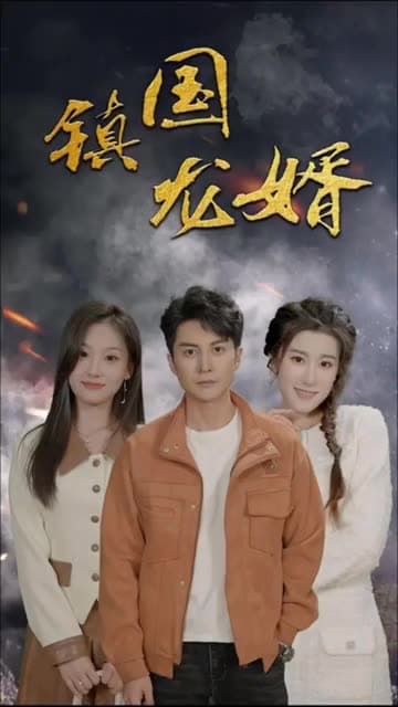 镇国龙婿 - 反转爽剧 (2024) 海报