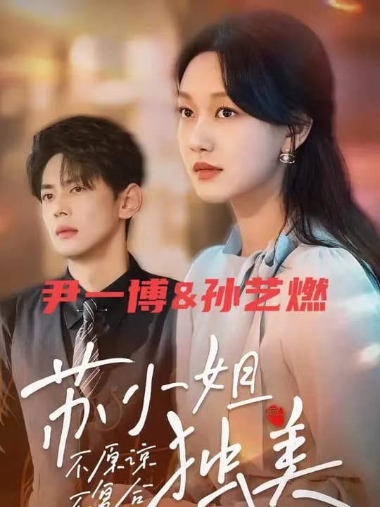 不原谅不复合苏小姐独美 - 女频恋爱 (2024) 海报