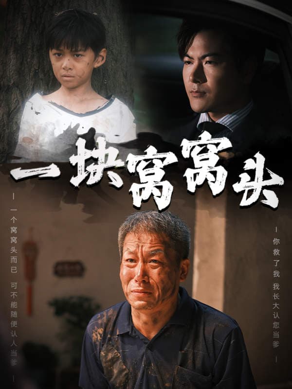 一块窝窝头儿子患癌以后 - 现代都市 (2024) 海报