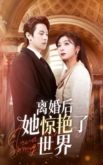 离婚后她惊艳了世界 - 女频恋爱 (2024) 海报