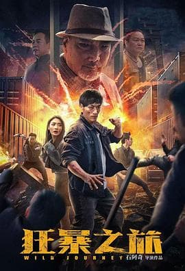 狂暴之旅 - 剧情片 (2024) 海报