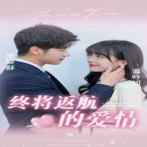 终将返航的爱情 - 女频恋爱 (2024) 海报