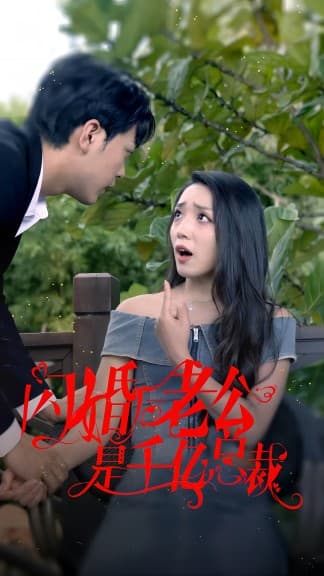 闪婚后老公是千亿总裁 - 女频恋爱 (2024) 海报