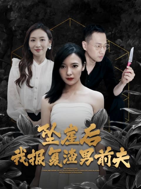 坠崖后,我报复渣男前夫 - 反转爽剧 (2024) 海报