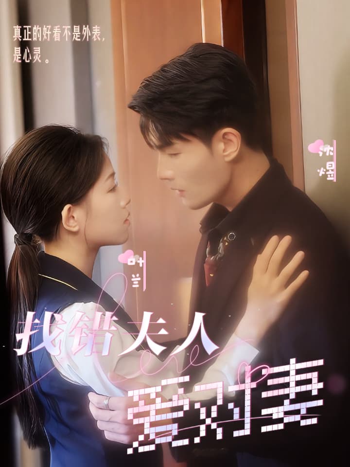 找错夫人爱对妻 - 女频恋爱 (2024) 海报