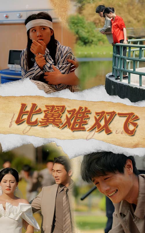 比翼难双飞 - 现代都市 (2024) 海报