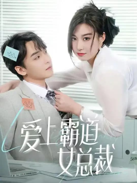 爱上霸道女总裁 - 女频恋爱 (2024) 海报