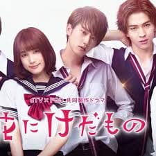 花予野兽 第一季 - 日剧 (2017) 海报