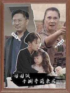 团圆饭手撕奇葩亲戚 - 现代都市 (2024) 海报