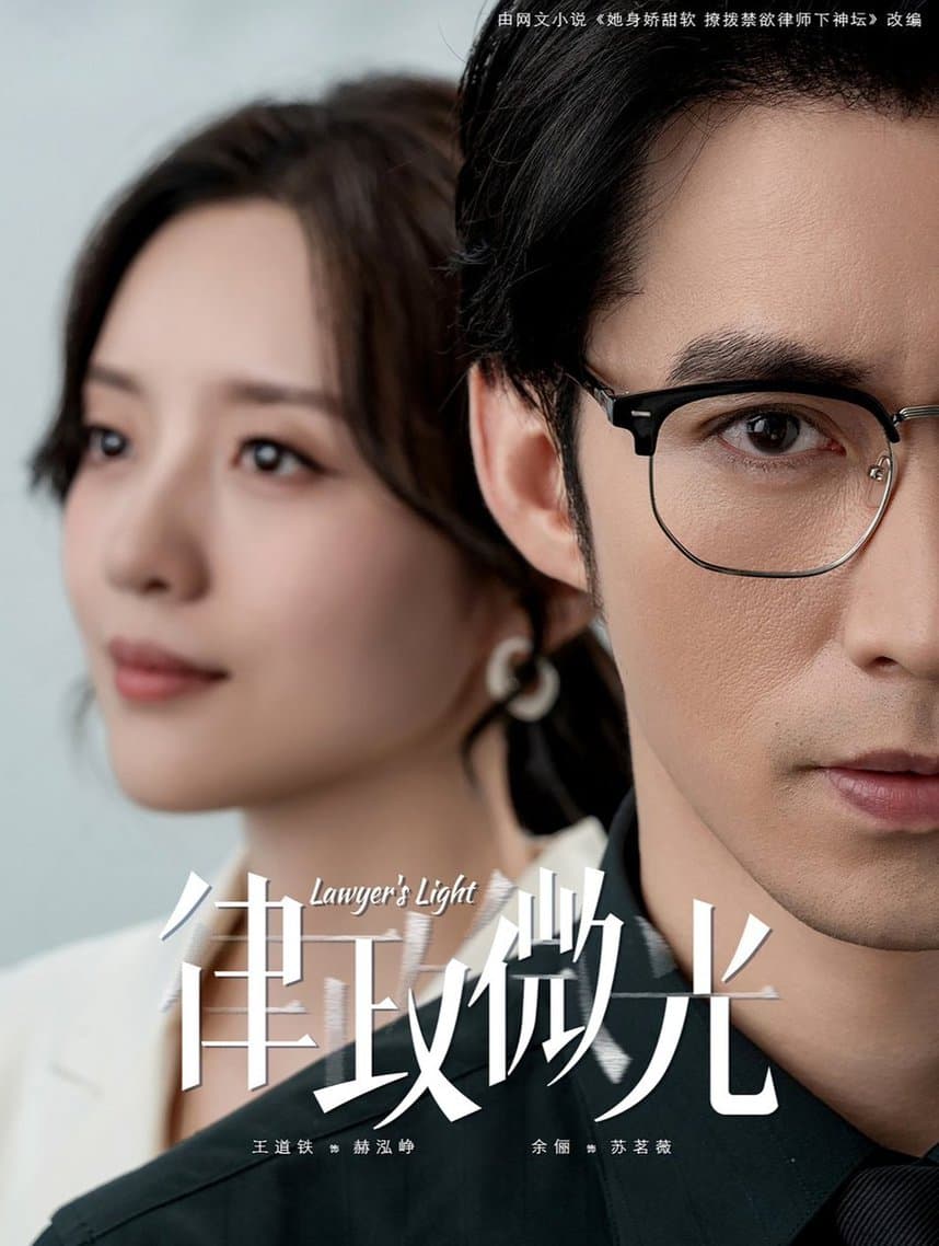 律政微光 - 现代都市 (2024) 海报