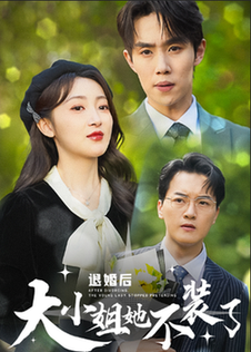 退婚后大小姐她不装了 - 反转爽剧 (2024) 海报