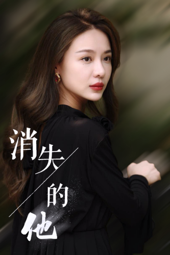 消失的他短剧 - 现代都市 (2024) 海报