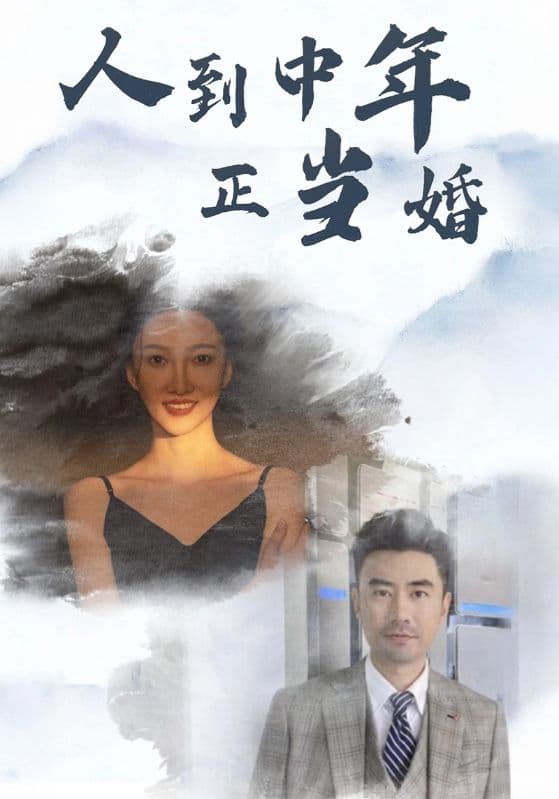 人到中年正当婚 - 现代都市 (2024) 海报