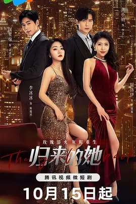 归来的她 - 国产剧 (2024) 海报