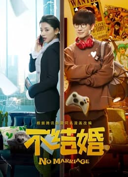 不结婚 - 日剧 (2012) 海报