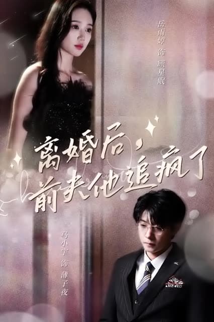 离婚后，前夫他追疯了今夜星光璀璨 - 女频恋爱 (2024) 海报