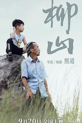 柳山 - 剧情片 (2024) 海报