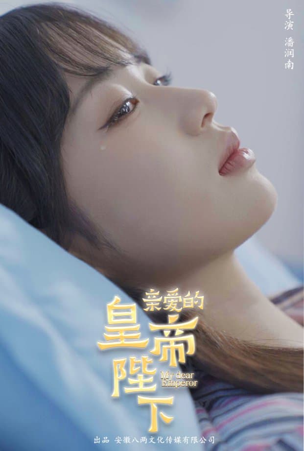 亲爱的皇帝陛下 - 年代穿越 (2024) 海报