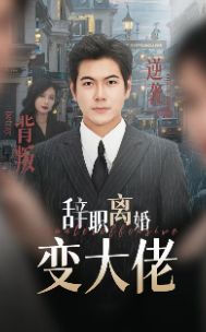 辞职离婚变大佬 - 反转爽剧 (2024) 海报