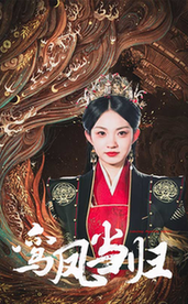 鸾凤当归 - 年代穿越 (2024) 海报