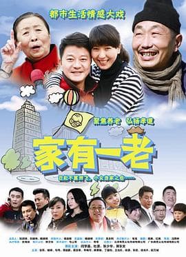 家有一老 - 现代都市 (2014) 海报