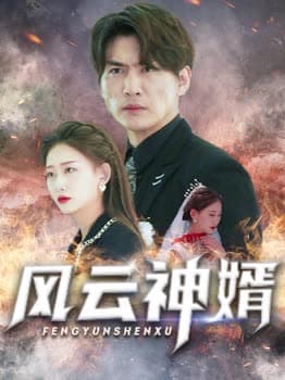 风云神婿 - 反转爽剧 (2024) 海报